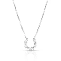 Montana Silversmiths Longline Crystal Horseshoe Necklace