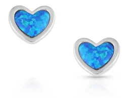 Montana Silversmiths Hidden Lake Glacial Pools Earrings