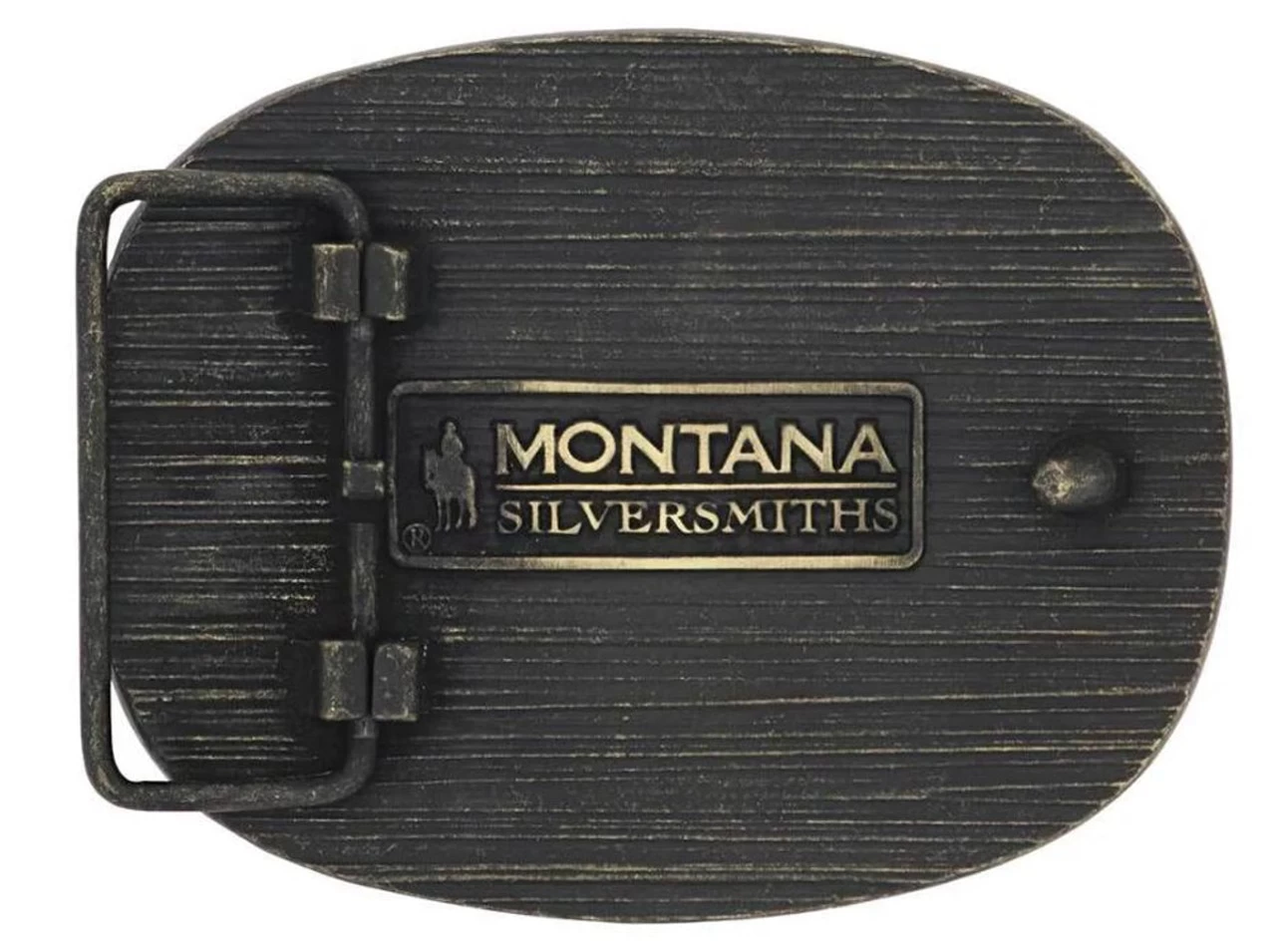 Montana Silversmiths Gadsden Snake Heritage Attitude Buckle 2 Montana Silversmiths Gadsden Snake Heritage Attitude Buckle - Image 2