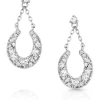 Montana Silversmiths Intentional Luck Crystal Drop Earrings