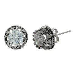 Montana Silversmiths Montana Silversmith Lucky Water Horseshoe Post Earrings ER3561