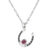 Montana Silversmiths Women's Sterling Lane Birthstone Horseshoe Necklace